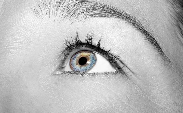 A beautiful insightful look woman's eye.  - Φωτογραφία, εικόνα