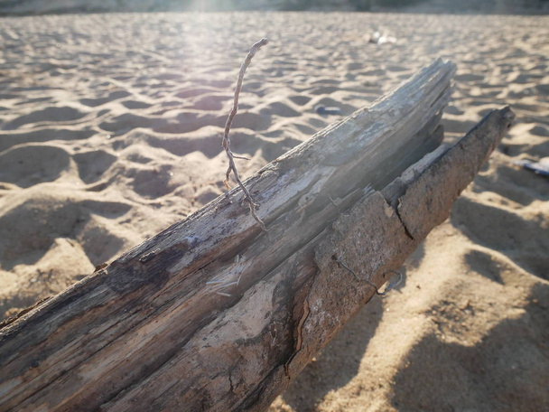 Vieux bois sur la plage
. - Photo, image