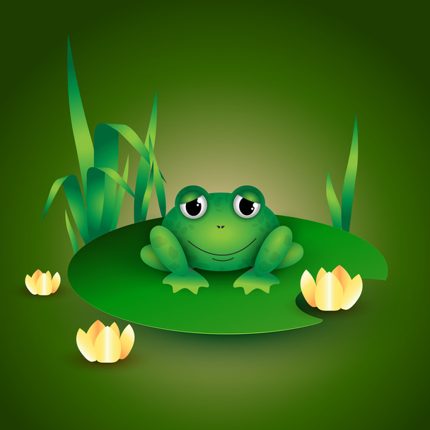 Frog sitting on Water lily leaf - Vector, Image