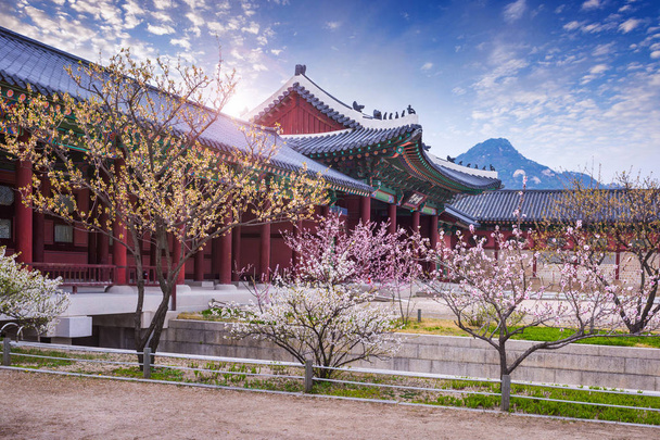 gyeongbokgung palace in spring, South Korea. - Photo, Image