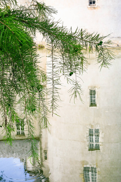 Zweig über Burggraben mit Spiegelung des Burgturms - Foto, Bild