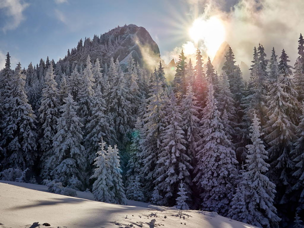 Winterlandschaft mit Bäumen und Bergen - Foto, Bild