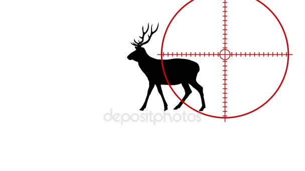 un cazador mata un ciervo con un rifle - animación
 - Metraje, vídeo