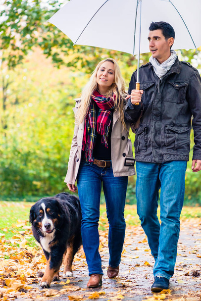 Woman and man having walk with dog in autumn rain - Foto, afbeelding