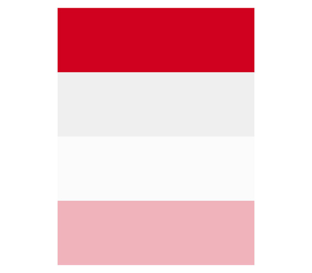indonesia flag on white background - Vector, Image