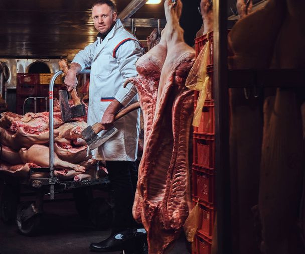 Portrait d'un boucher en robe de cuisine blanche tenant une hache dans une usine de viande
. - Photo, image