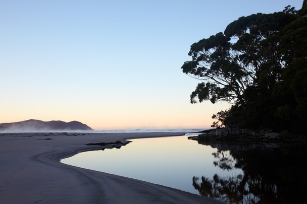 řeka na ocean beach a eucaliptus - Fotografie, Obrázek