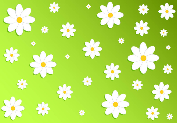 Vector illustration. Daisies (flowers) on a green background. Spring background.  - Vector, imagen