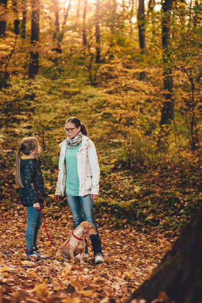 Mother and daughter with dog hiking in colorful autumn forest - Fotó, kép