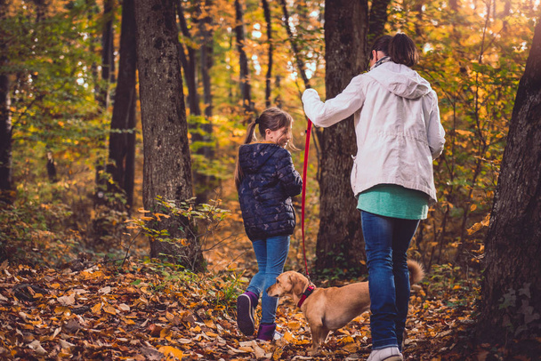Mother and daughter hiking in a forest with dog - Foto, Bild