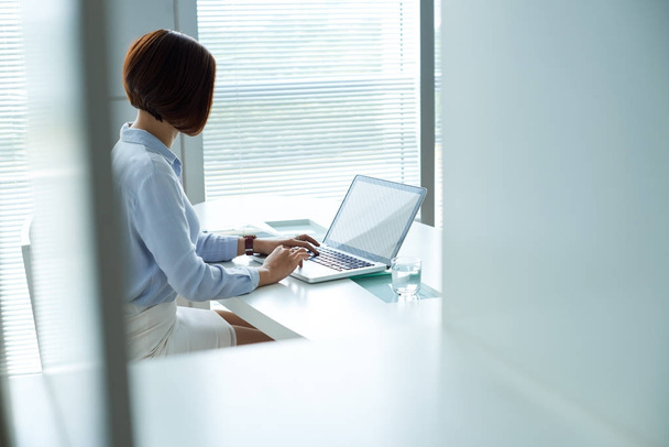 бізнес-леді, що працює з ноутбуком в офісі
 - Фото, зображення