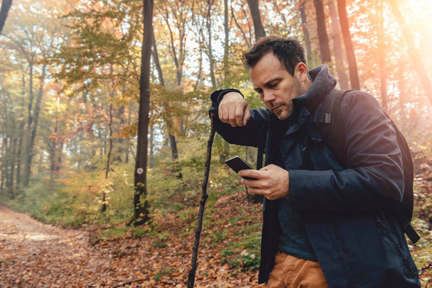 Man hiking in autumn colorful forest and using phone - Foto, afbeelding