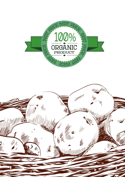 Hand drawn sketch of potatoes in a basket. Eco food vintage vector illustration - Vector, Image