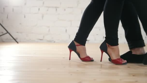 Tänzer Füße tragen Modeschuhe - Familienpaar tanzt Kizomba im Studio - Filmmaterial, Video