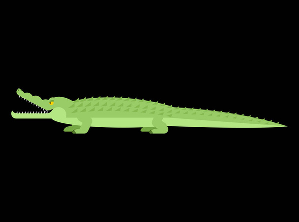 Krokodil. Aligátor elszigetelt. Ragadozó állat. Vektoros illustrat - Vektor, kép