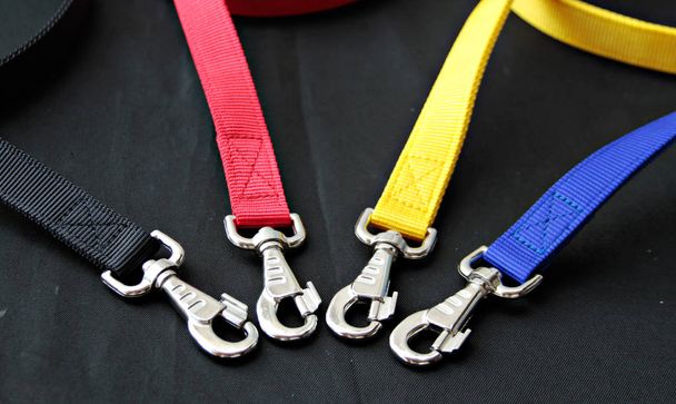 Pet supplies about leash for dog and silver hook on black backgr - Photo, Image