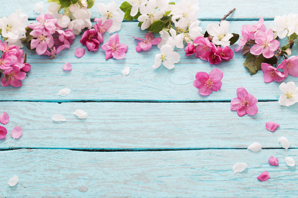 pink spring flowers on blue wooden background; - Foto, afbeelding