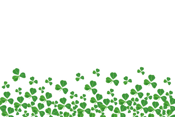 St Patricks Day bordure inférieure de trèfles sur un fond blanc
 - Photo, image