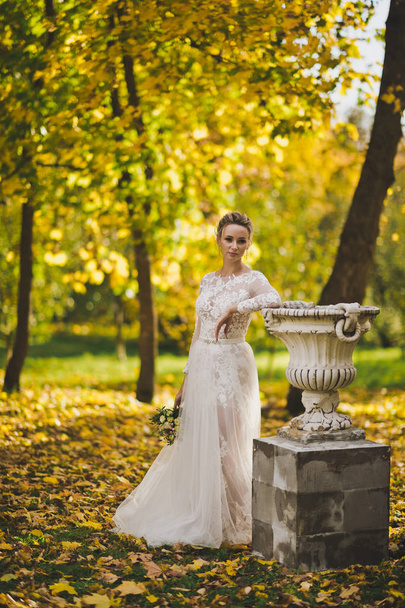 The bride walks through the autumn garden 213. - 写真・画像