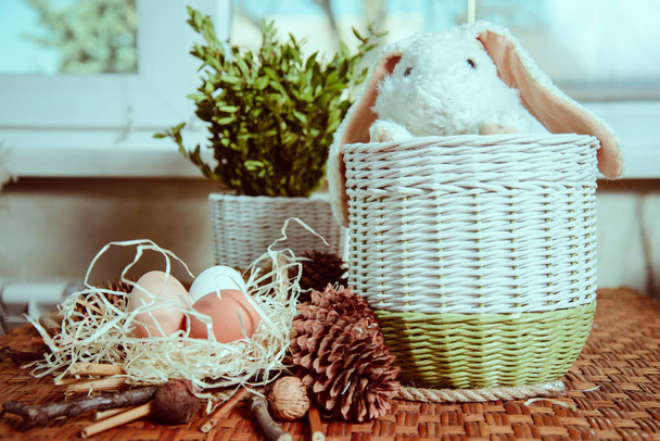 Lapin près du panier avec des œufs
 - Photo, image