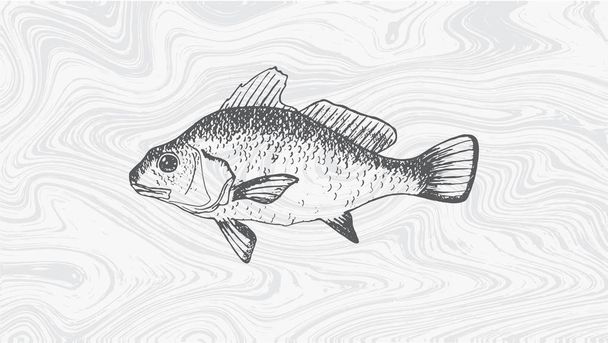 szép kézzel rajzolt ábra vintage halakkal - Vektor, kép