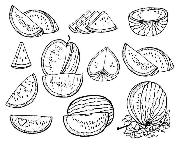 Ilustração vetorial desenhada à mão - melancia e fatias de melancia
 - Vetor, Imagem