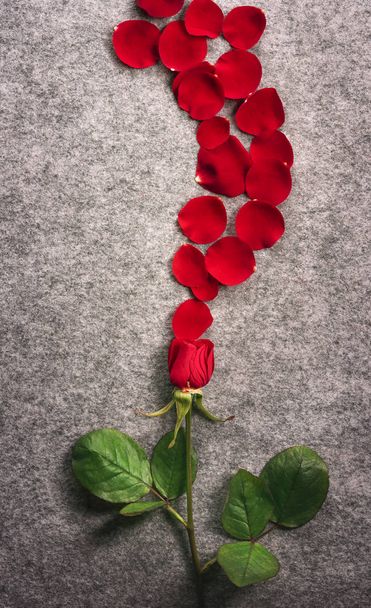 Rode roos en een bloem bloemblaadjes Golf - Foto, afbeelding
