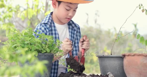 Jovem asiático tailandês menino preparar solo preto para pouca planta no jardim. Conceito de dia terrestre
. - Filmagem, Vídeo