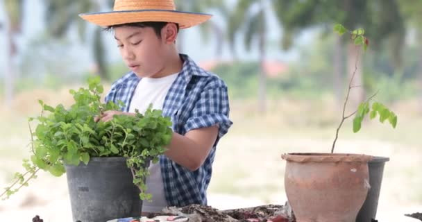 Genç Asya Tayland çocuk bahçede üzerinde siyah küçük bitki toprağa hazırlayın. Dünya gün kavramı. - Video, Çekim