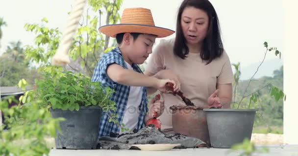 Nuori aasialainen äiti poikansa valmistella musta maaperä pieni kasvi puutarhassa. Maan päivä käsite
. - Materiaali, video