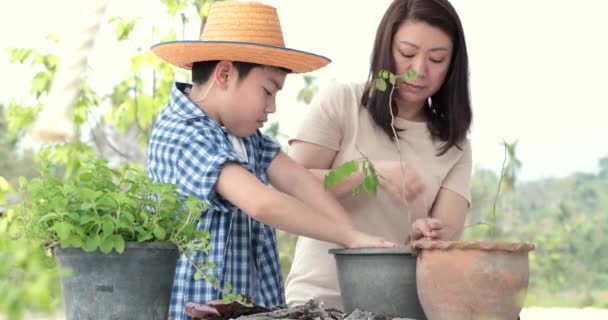 Mladá Asijská matka s jejím chlapcem připravit černé půdy, rostlina na v zahradě. Earth day koncept. - Záběry, video
