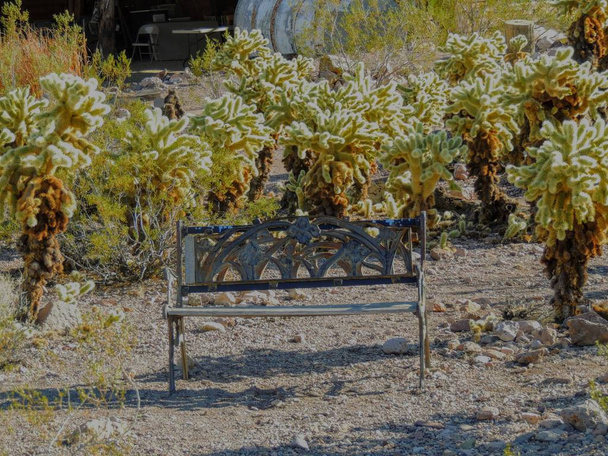 Old metal bench rusting on the ground among jumping cactus in the Arizona desert in deserted ghost mining town. - Photo, Image