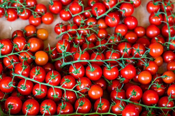 Tableau de tomates cerises rouges biologiques crues sur la vigne
 - Photo, image