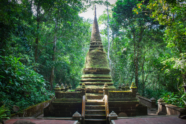 Alongkorn Chedi Pagoda se nachází v deštném pralese Namtok Phlio národního parku poblíž Phlio vodopád v provincii Chanthaburi, Thajsko. - Fotografie, Obrázek
