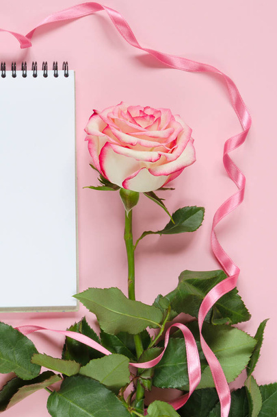 Pink blooming fresh rose flower and notebook on pink background - Фото, зображення