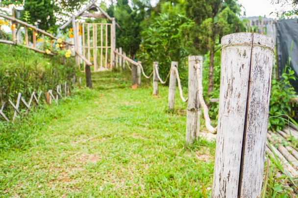 selectieve aandacht bamboe palen en hek in tuin in de achtertuin - Foto, afbeelding