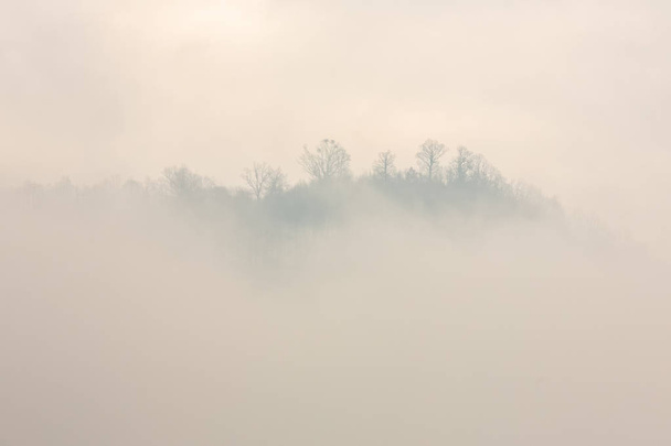 Montaña y niebla
 - Foto, Imagen