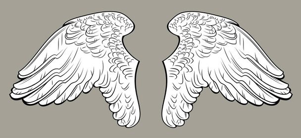 Φτερά του πουλιού όμορφη (κύκνοι ή περιστέρια) - Διάνυσμα, εικόνα