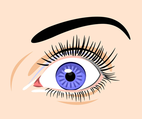όμορφα, εκφραστικά μάτια γυναικών - Διάνυσμα, εικόνα