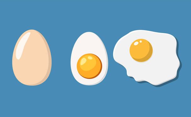 Τηγανιτά, το ήμισυ και τα αυγά με κέλυφος. - Διάνυσμα, εικόνα