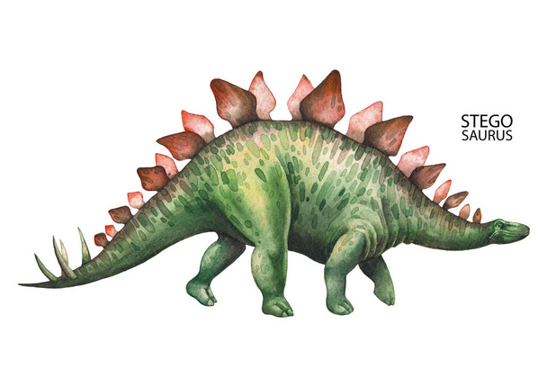 Dinosauro acquerello realistico
 - Foto, immagini