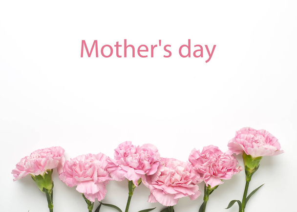 Pembe karanfil beyaz arka plan üzerinde anneler günü için çiçek - Fotoğraf, Görsel