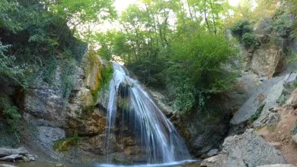 schuimende kleine waterval in bos - Video