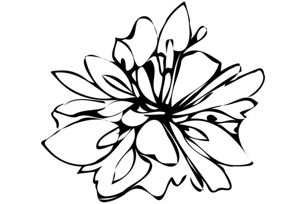  vector sketch abstract flower - Wektor, obraz