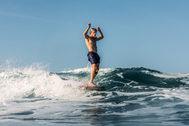 surf - Foto, Imagem