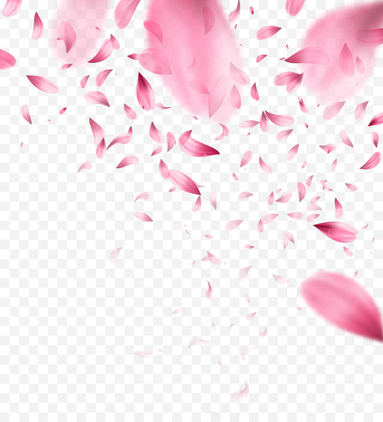 Pink sakura falling petals background. Vector illustration - Vector, Image