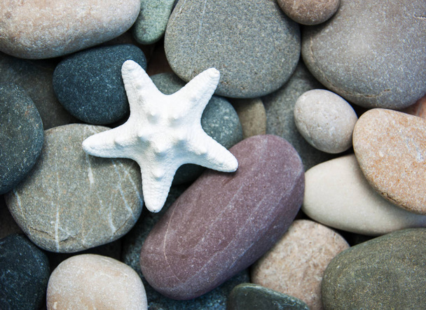Piedras de mar y estrellas de mar
 - Foto, Imagen