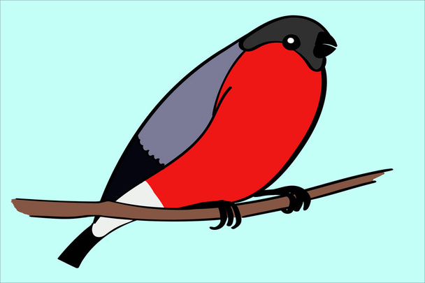 Common Bullfinch sitting on tree brunch vector illustration. Red bird in cold winter. - Vector, Image