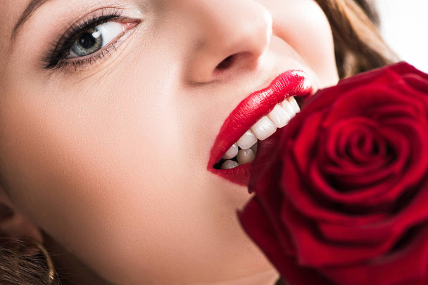 обрізане зображення чуттєвої дівчини, що кусає пелюстки червоної троянди, концепція дня валентинки
   - Фото, зображення