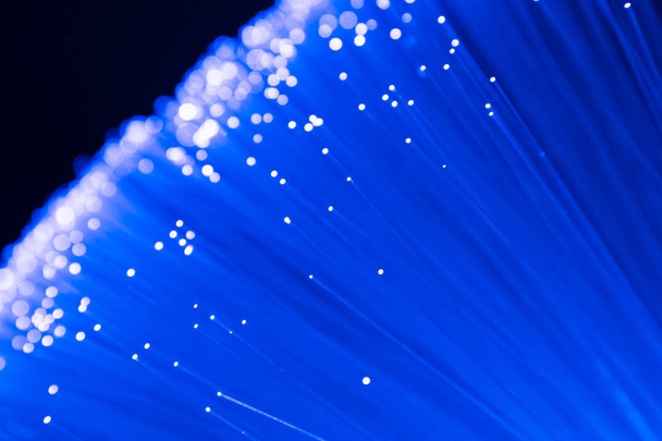 detail of blue growing bunch of optical fibers background, fast  - Foto, imagen